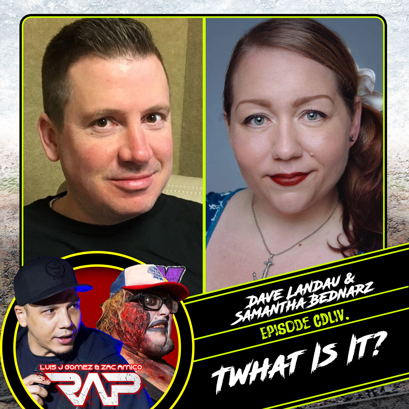 0454. Twhat Is It? (Dave Landau & Samantha Bednarz) episode artwork
